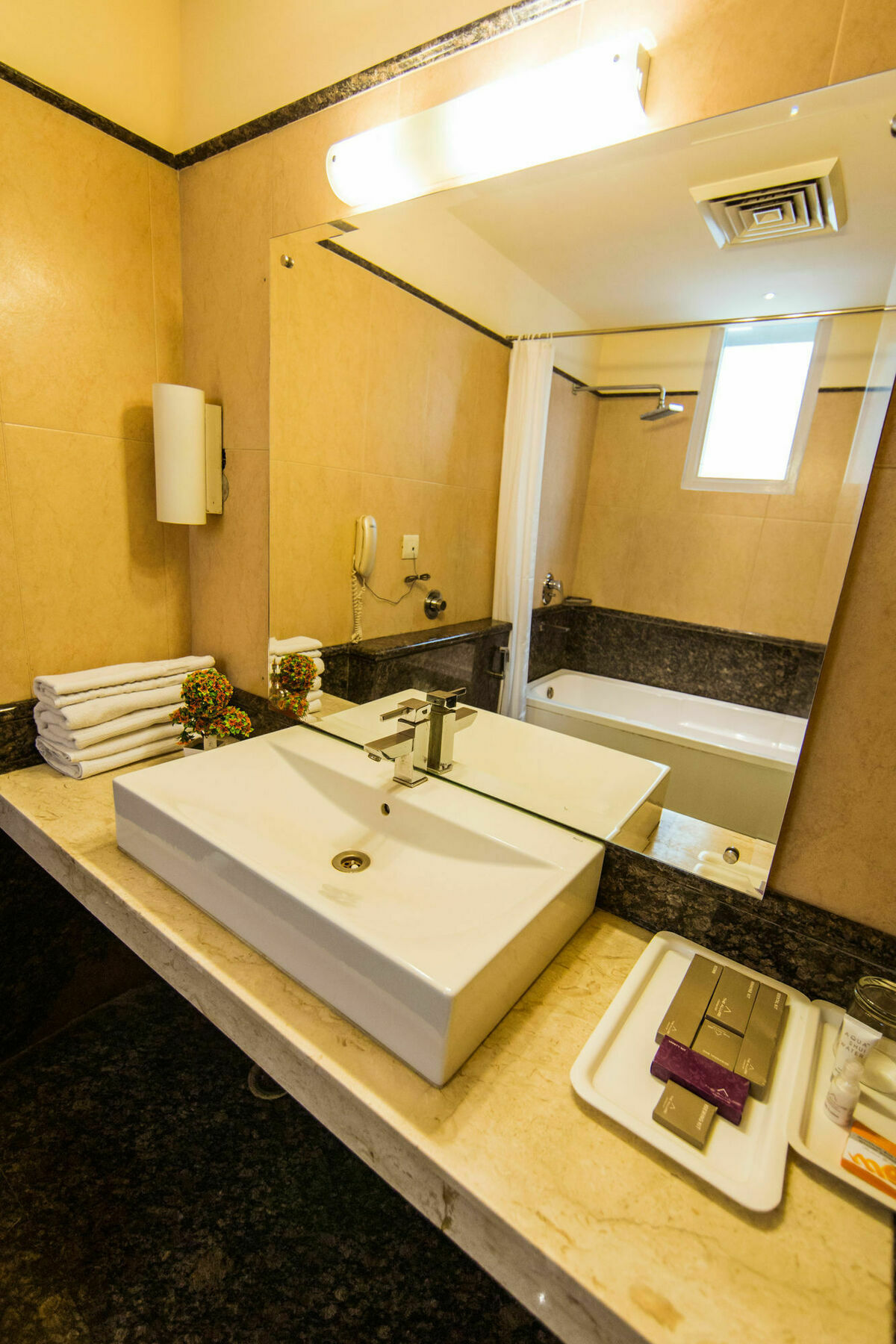 Clark International Hotel Delhi  Buitenkant foto